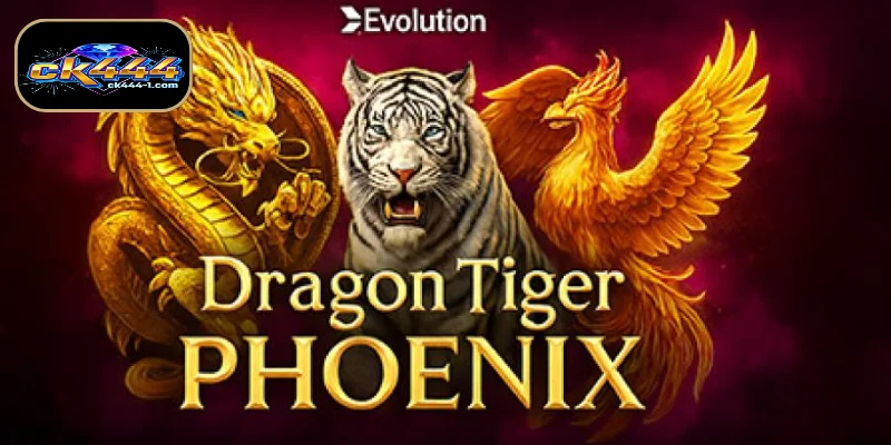 CK444 প্ল্যাটফর্মে Dragon Tiger Phoenix শুরুর ধাপ।