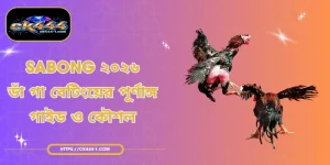 Sabong ২০২৬ - ডাঁ গা বেটিংয়ের পূর্ণাঙ্গ গাইড ও কৌশল