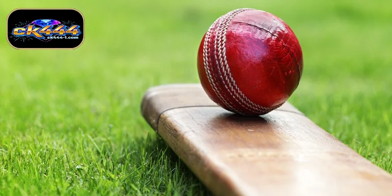 মৌলিক ভূমিকা Cricket